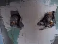 Dwa zawory grzybkowe w ścianie, przygotowane do montażu. Zastanawiasz się, jak odkręcić zakamieniony zawór grzybkowy?